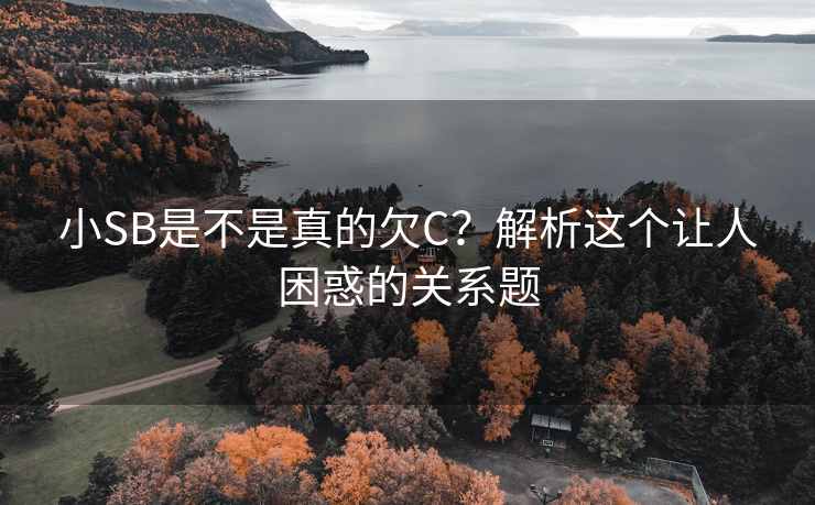 小SB是不是真的欠C？解析这个让人困惑的关系题