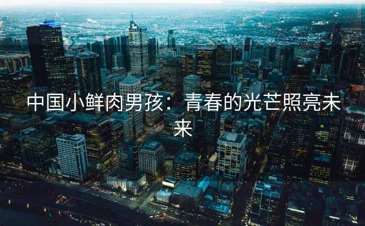 中国小鲜肉男孩：青春的光芒照亮未来