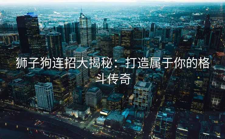 狮子狗连招大揭秘：打造属于你的格斗传奇