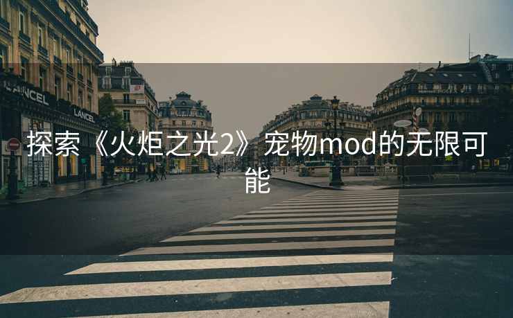 探索《火炬之光2》宠物mod的无限可能