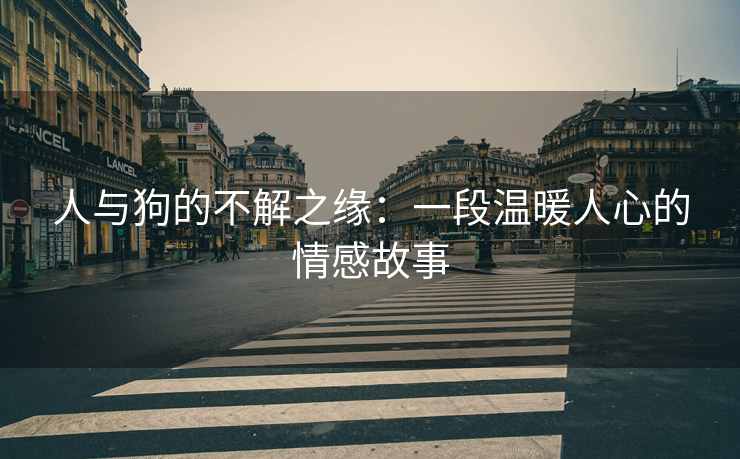 人与狗的不解之缘：一段温暖人心的情感故事