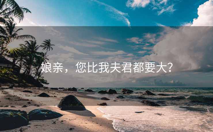 娘亲，您比我夫君都要大？