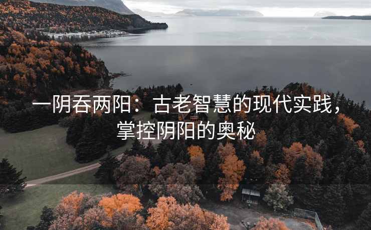 一阴吞两阳：古老智慧的现代实践，掌控阴阳的奥秘