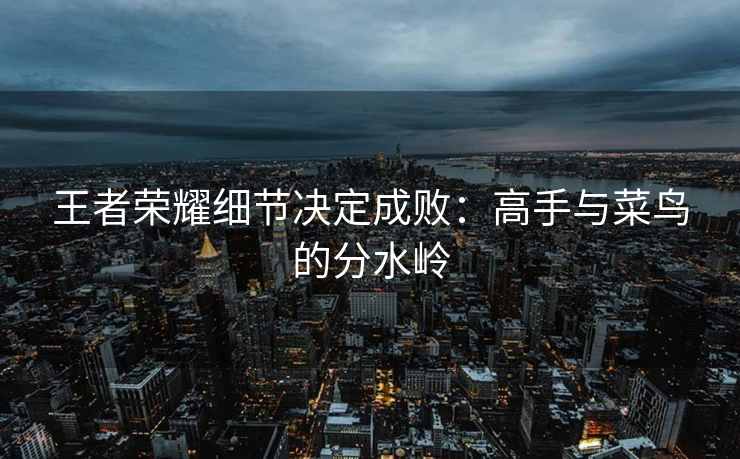 王者荣耀细节决定成败：高手与菜鸟的分水岭