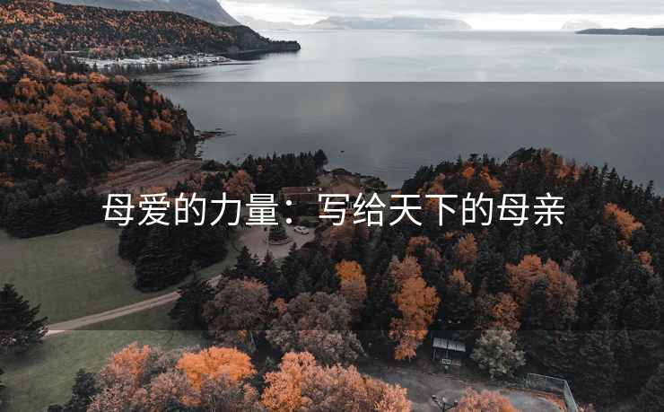 母爱的力量：写给天下的母亲