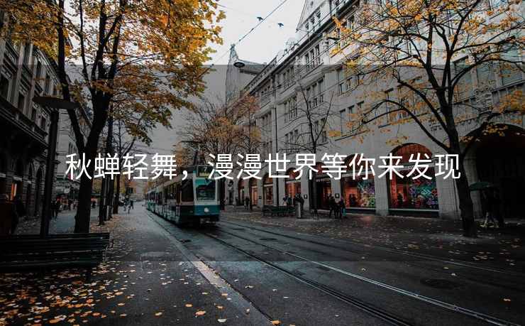 秋蝉轻舞，漫漫世界等你来发现