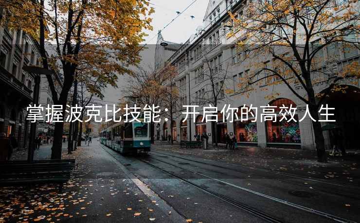 掌握波克比技能：开启你的高效人生