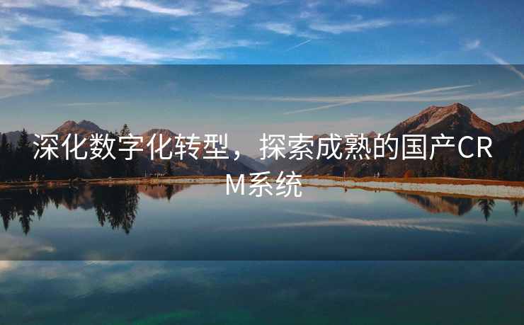 深化数字化转型，探索成熟的国产CRM系统