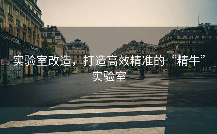 实验室改造，打造高效精准的“精牛”实验室