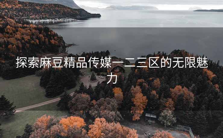 探索麻豆精品传媒一二三区的无限魅力